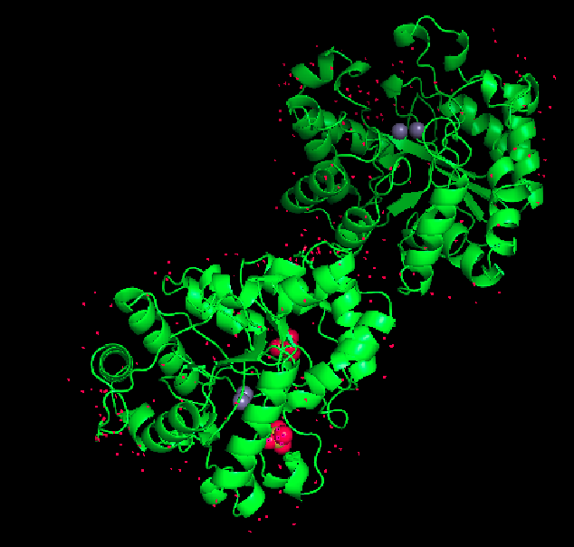 _images/pymol.png